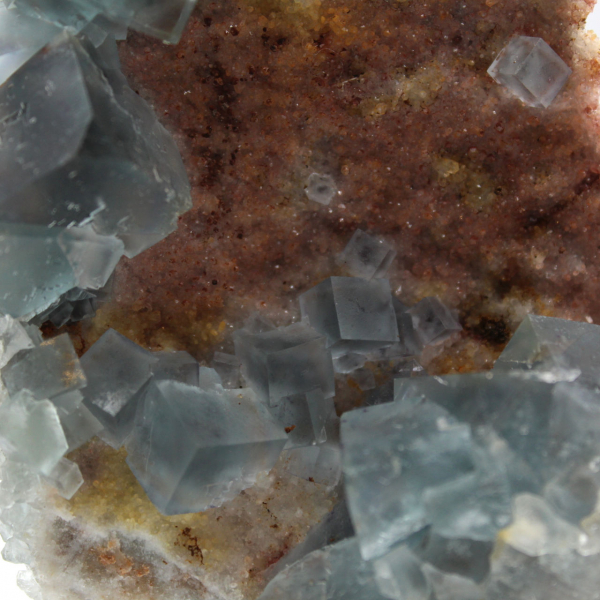 Fluorite verde naturale: campione su roccia per la raccolta