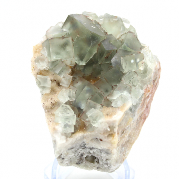 Fluorite verde autentica: cristalli su matrice dal Marocco