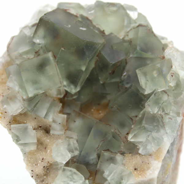 Fluorite verde autentica: cristalli su matrice dal Marocco