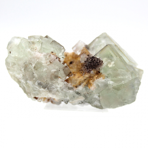 Pietra di fluorite grezza: modello molto piccolo, Marocco