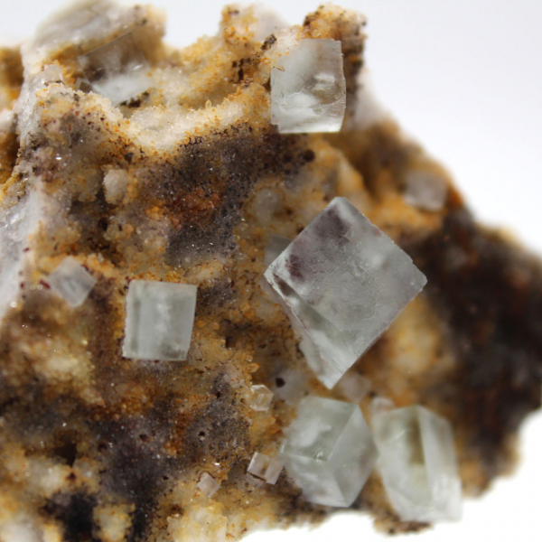 Fluorite verde da collezione: piccolo esemplare su matrice