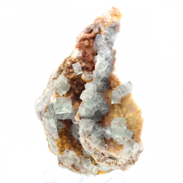 Roccia di fluorite verde: grande cristallo sulla sua matrice