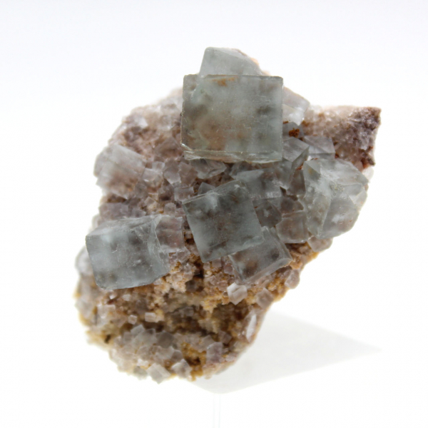 Mini fluorite grezza: pietra naturale del Marocco su matrice