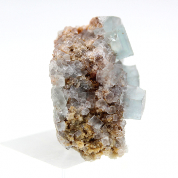 Mini fluorite grezza: pietra naturale del Marocco su matrice