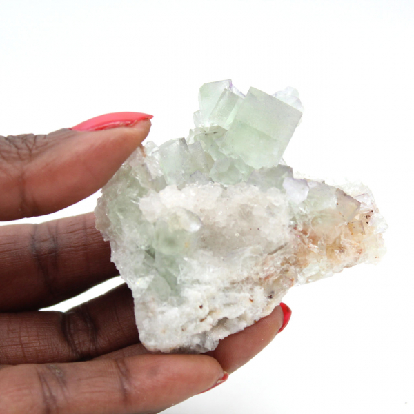 Cristalli di fluorite grezza: Mini modello su matrice, Marocco