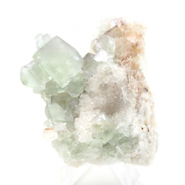 Cristalli di fluorite grezza: Mini modello su matrice, Marocco