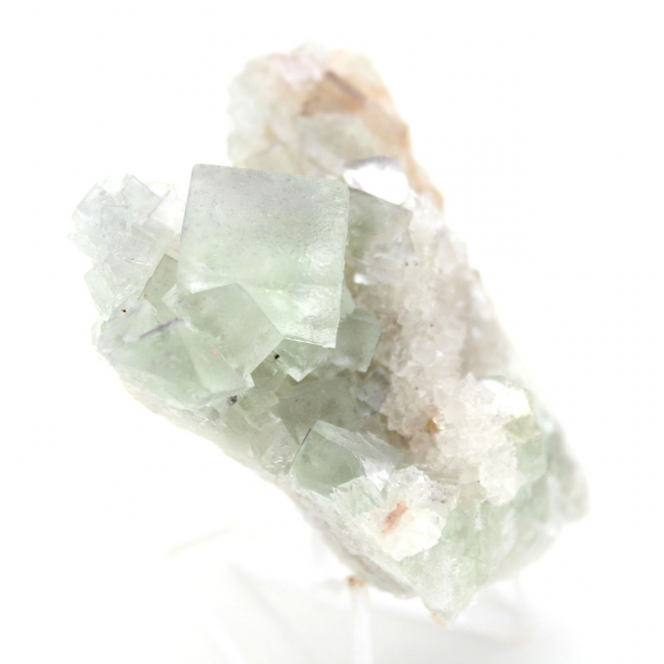 Cristalli di fluorite grezza: Mini modello su matrice, Marocco