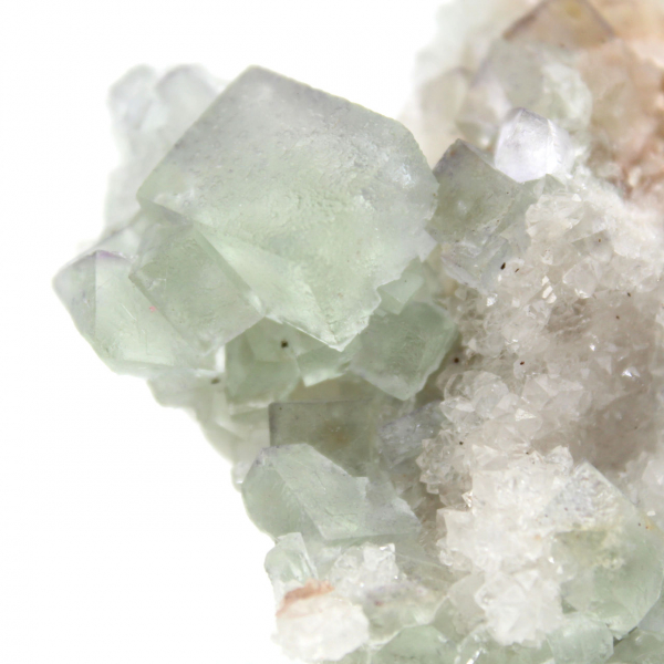 Cristalli di fluorite grezza: Mini modello su matrice, Marocco