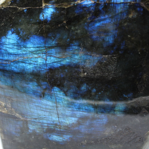 Ornamento in labradorite lucidata, pietra da collezione