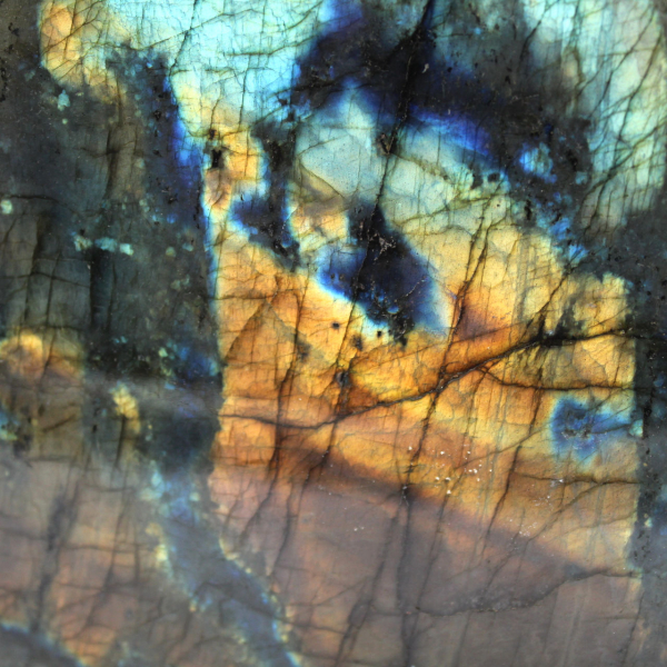 Labradorite lucidata, campione mineralogico