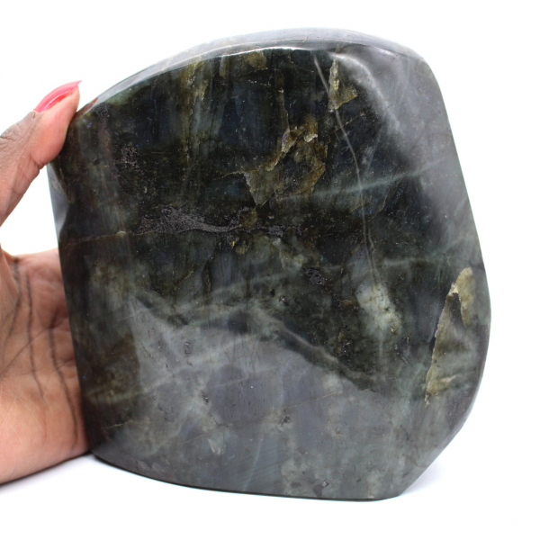 Grande labradorite lucidata dal Madagascar da collezione