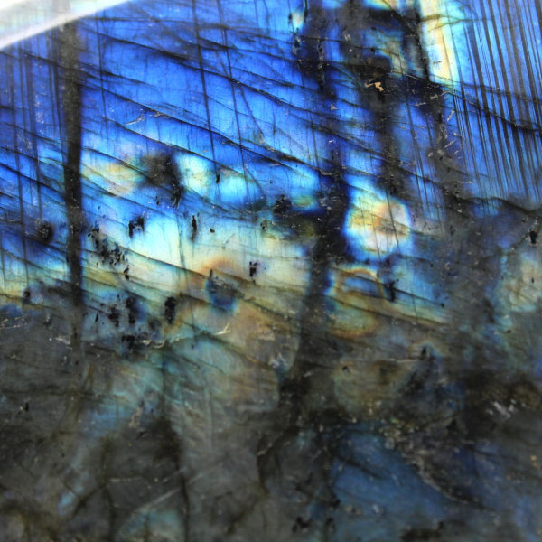 Grande labradorite lucidata per collezionisti