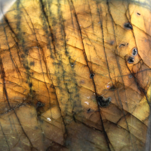 Labradorite lucidata, esemplare decorativo del Madagascar