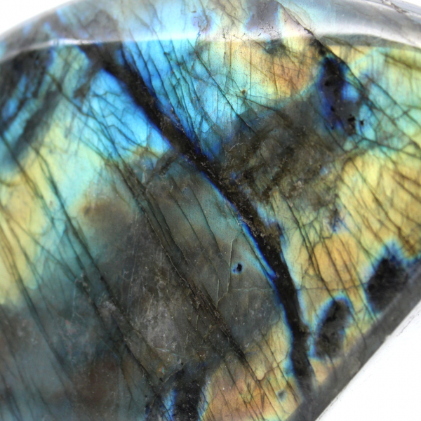 Grande Labradorite Lucidata per Decorazione e Scienza