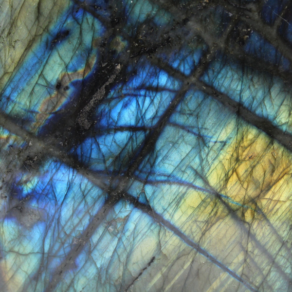 Ornamento in labradorite lucidata, pietra naturale da collezione