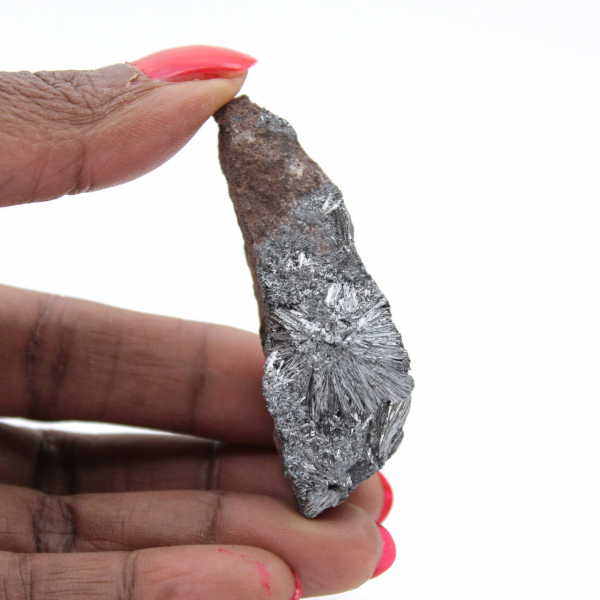 Pirolusite, roccia minerale in miniatura del Marocco