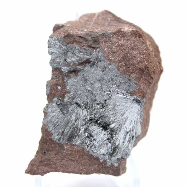 Piccola pirolusite cristallizzata su matrice autentica