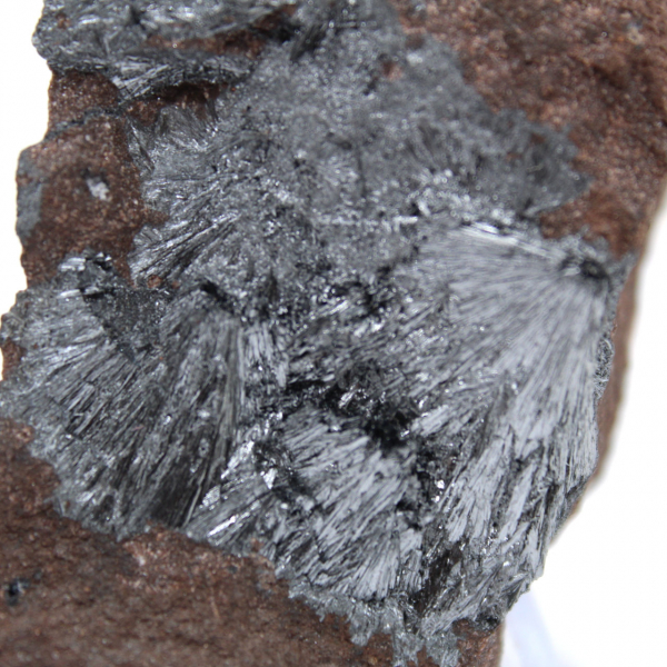 Piccola pirolusite cristallizzata su matrice autentica