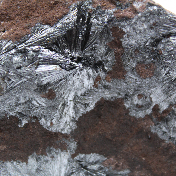 Grande collezione di pezzi di pirolusite cristallizzata