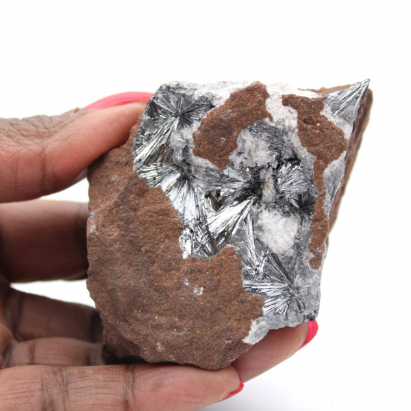 Pirolusite, campione mineralogico con matrice