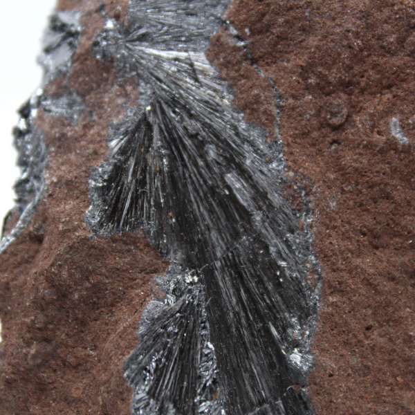 Cristalli di pirolusite autentici su matrice