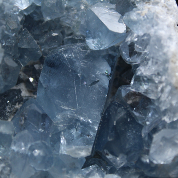 Celestina cristallizzata - Oggetto da collezione del Madagascar