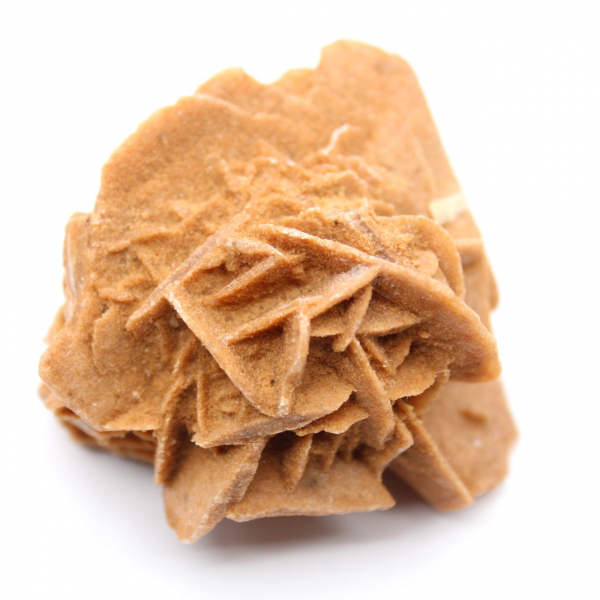 Cristalli di rosa del deserto marocchina per collezioni mineralogiche