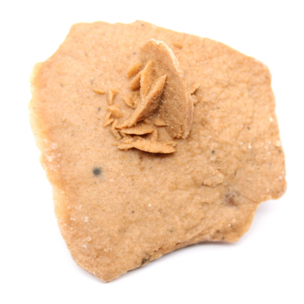 Piccola rosa del deserto del Marocco: frammento geologico naturale