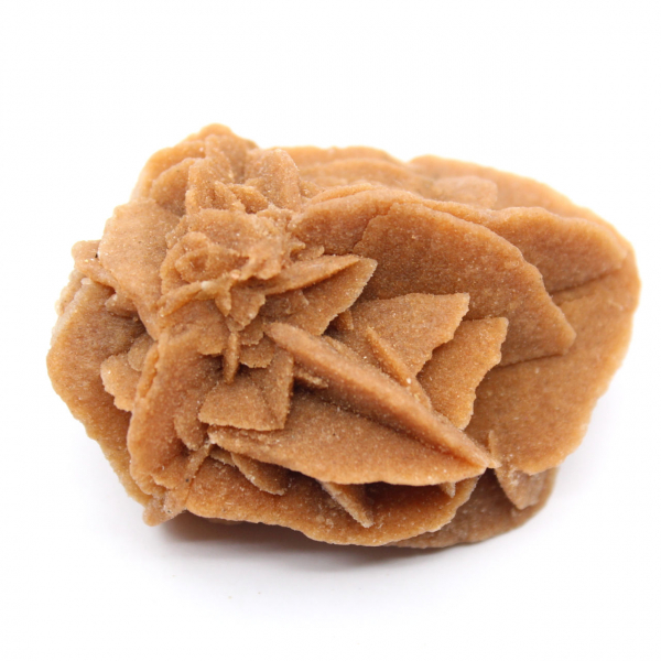 Piccola rosa del deserto del Marocco: frammento geologico naturale