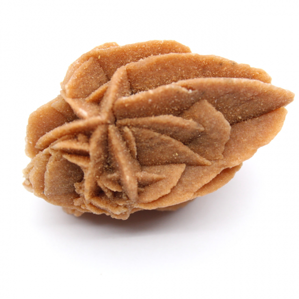 Formazione della Rosa del Deserto Marocchina: Gesso da Collezione