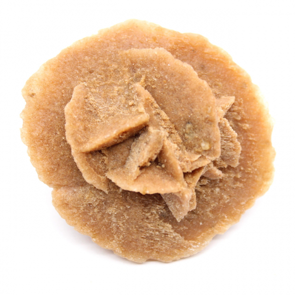 Rosa del deserto marocchina: autentica struttura cristallina