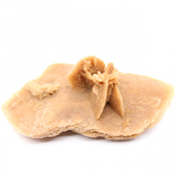 Piccola rosa del deserto del Marocco: frammento geologico naturale