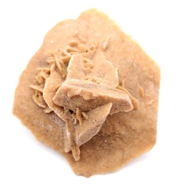 Piccola rosa del deserto del Marocco: frammento geologico naturale