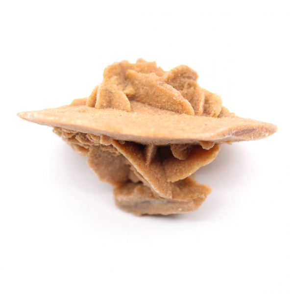 Rosetta in gesso del Marocco: cristallo naturale del Sahara