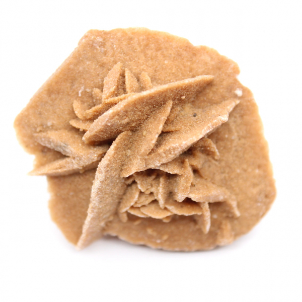 Rosa del deserto marocchina: piccolo oggetto da collezione grezzo