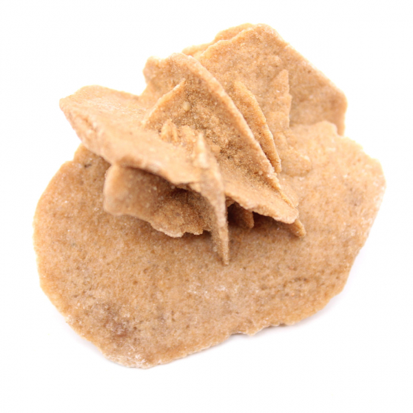 Mini Rosa del Deserto Marocchina: esemplare di gesso naturale