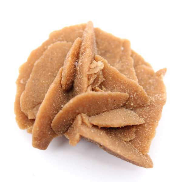 Piccolo frammento di Rosa del Deserto: un minerale del Marocco