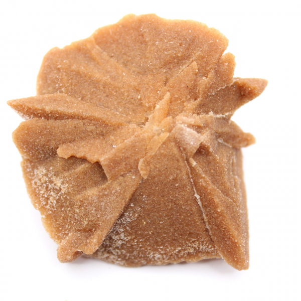 Piccolo frammento di Rosa del Deserto: un minerale del Marocco