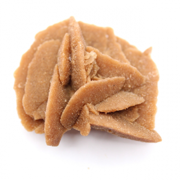 Piccolo frammento di Rosa del Deserto: un minerale del Marocco