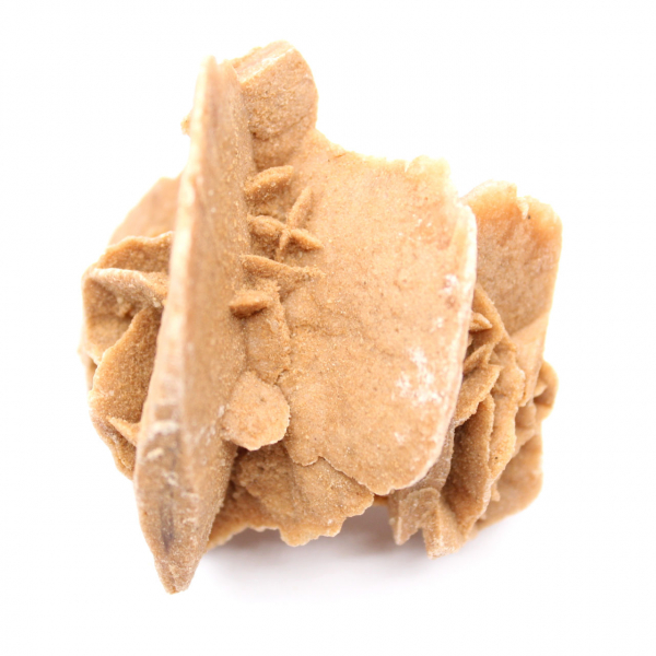 Piccola rosa del deserto del Marocco: frammento geologico naturale