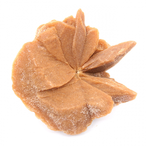 Piccola rosa del deserto del Marocco: frammento geologico naturale