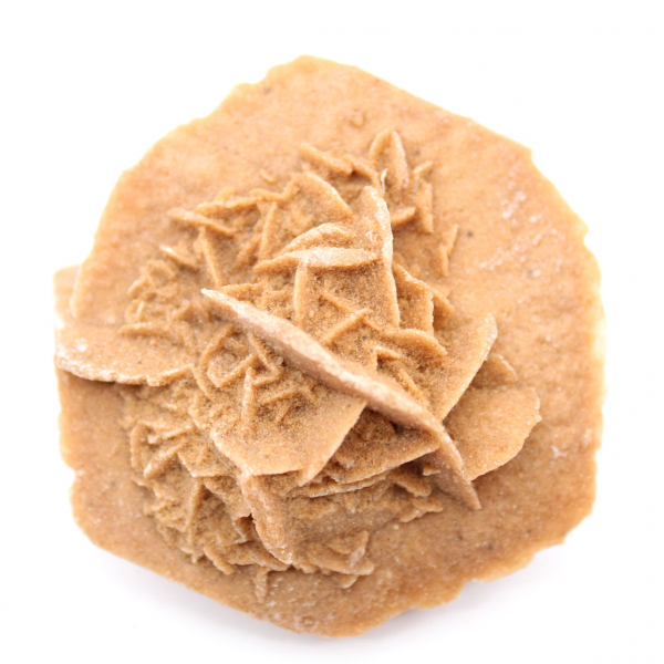 Piccola rosa del deserto del Marocco: frammento geologico naturale