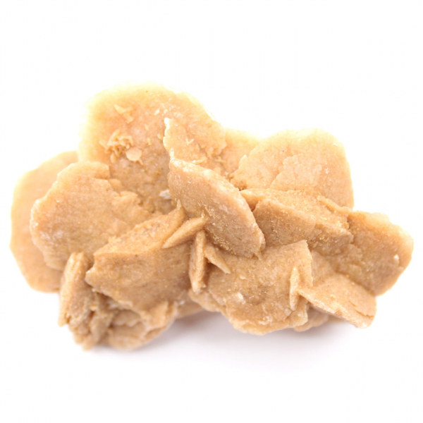 Esemplare di gesso cristallizzato: Rosa del deserto del Marocco