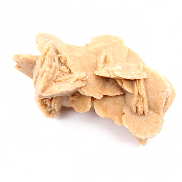 Esemplare di gesso cristallizzato: Rosa del deserto del Marocco