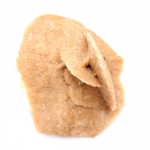 Rosetta minerale del Marocco: cristallizzazione del gesso