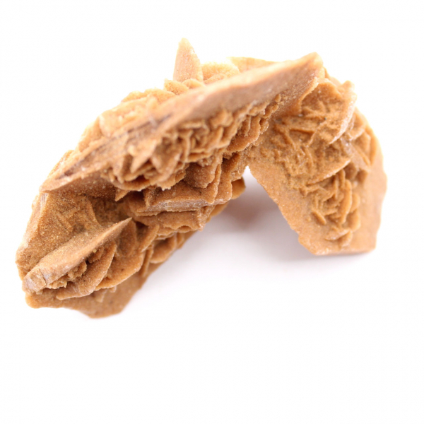 Rosa del deserto del Marocco: consistente cristallo di gesso