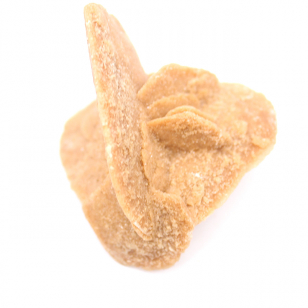 Rosa del deserto del Marocco: i delicati cristalli di gesso