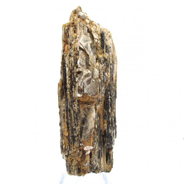 Piccolo esemplare di tormalina nera - Madagascar