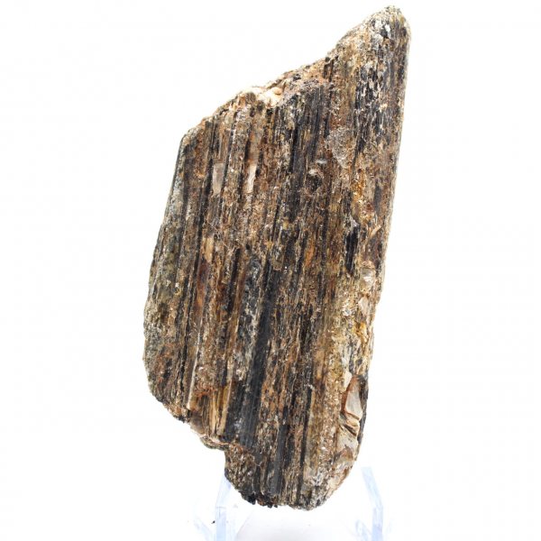 Tormalina nera del Madagascar - Esemplare di studio