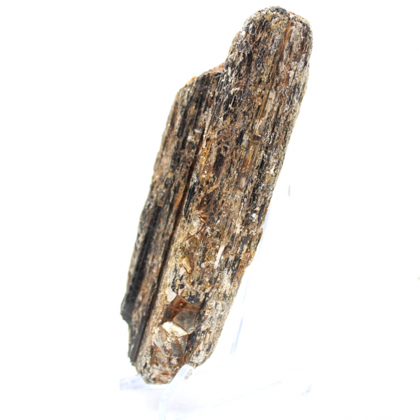 Tormalina nera del Madagascar - Esemplare di studio